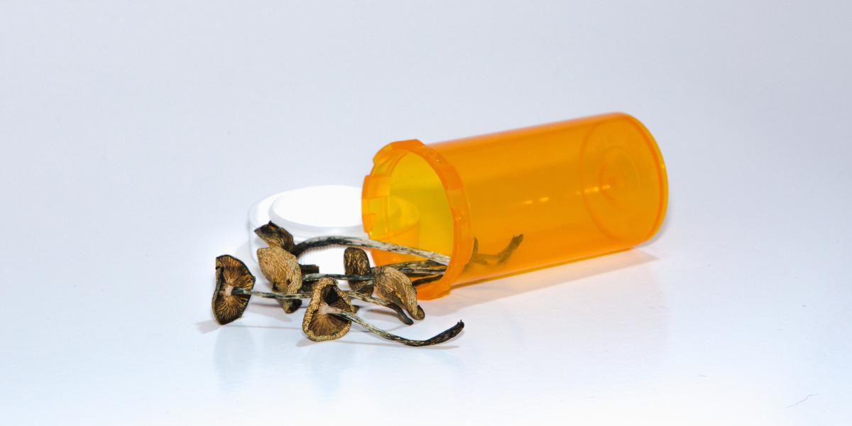 85% of Americans Support Therapeutic Use of Psilocybin