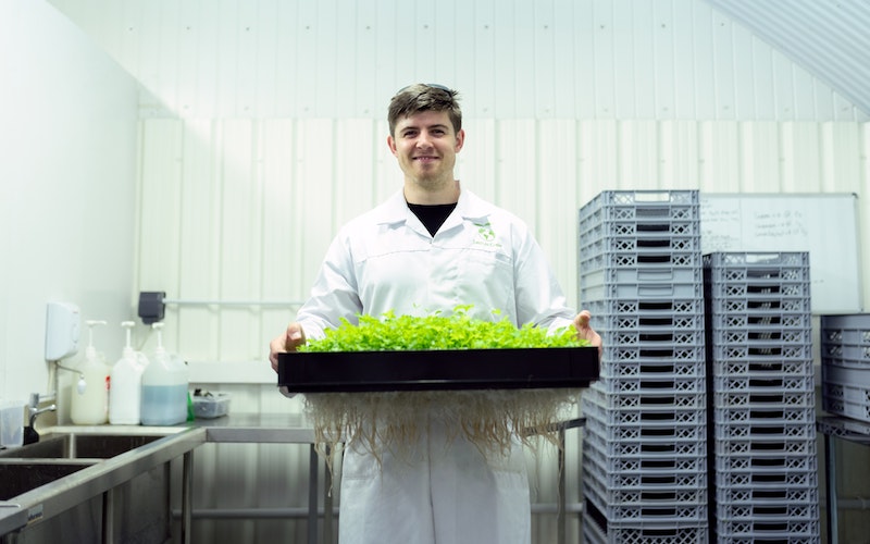 Align Your Cultivation Program With the UN Sustainable Development Goals