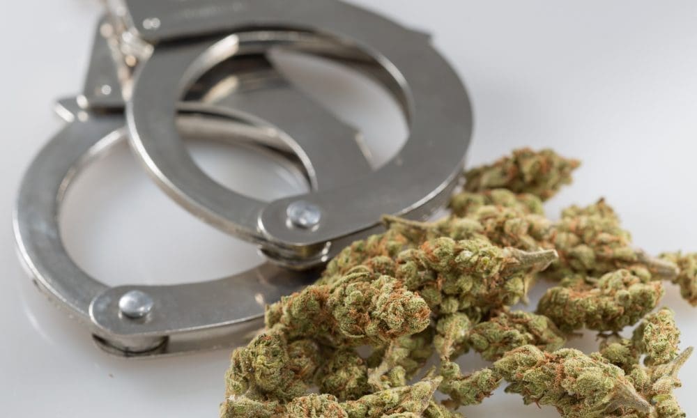 Arizona Again Loosens Restrictions On Past Marijuana Use By Police Recruits