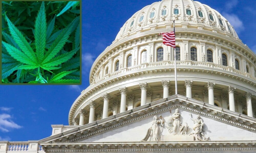 Bipartisan Congressional Lawmakers File Bill To End Federal Marijuana Prohibition In Legal States In Line With Trump's Stance