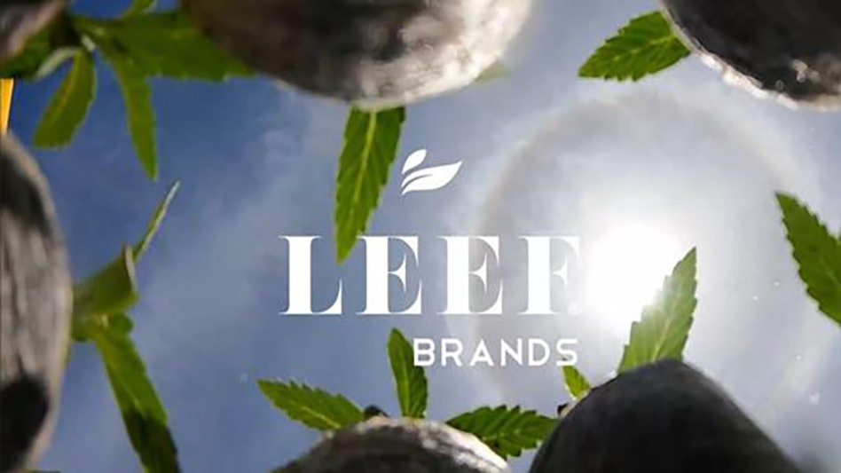 LEEF Brands Begins Planting Salisbury Canyon Ranch, One of World’s Largest Cannabis Farms