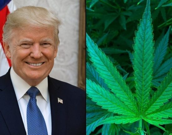 Marijuana Companies Donated At Least $1 Million To Trump's Inauguration, New Federal Records Show