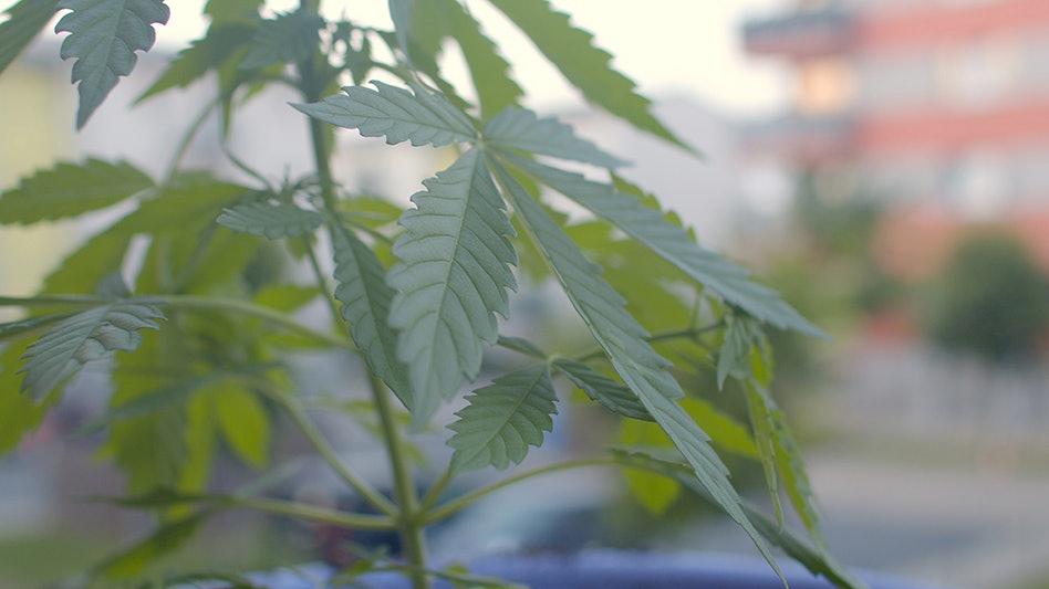 New Hampshire Senate Committee Recommends Killing Adult-Use Legalization Bill