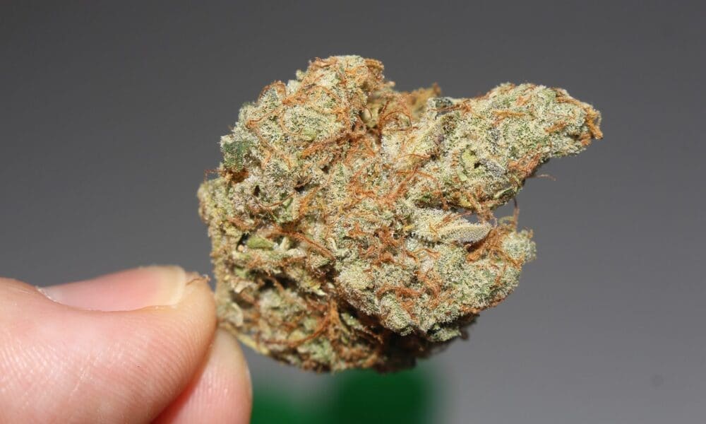 Rhode Island Officials Approve New Marijuana Rules, Setting Framework For Licensing And Social Equity