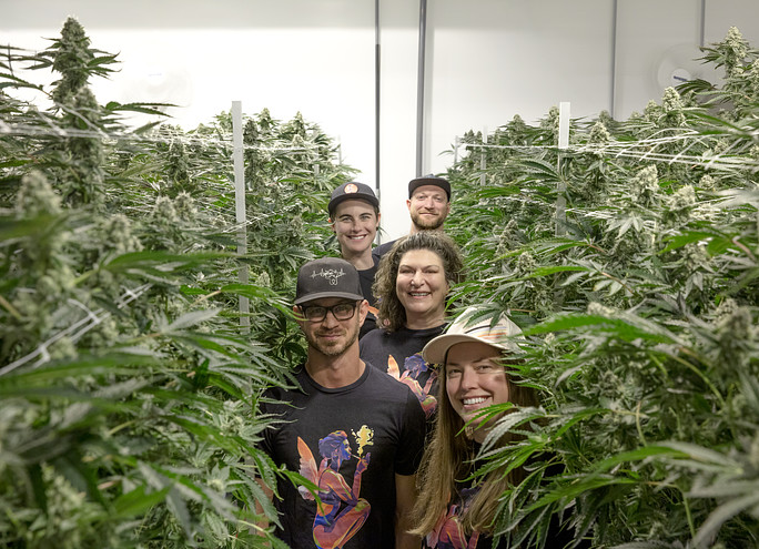 Roots of Resilience - Cannabis & Tech Today
