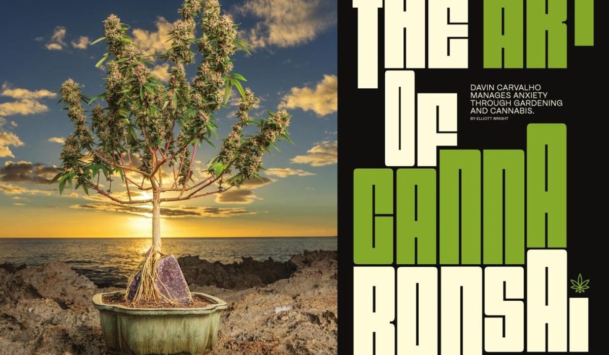 The Art of Cannabonsai