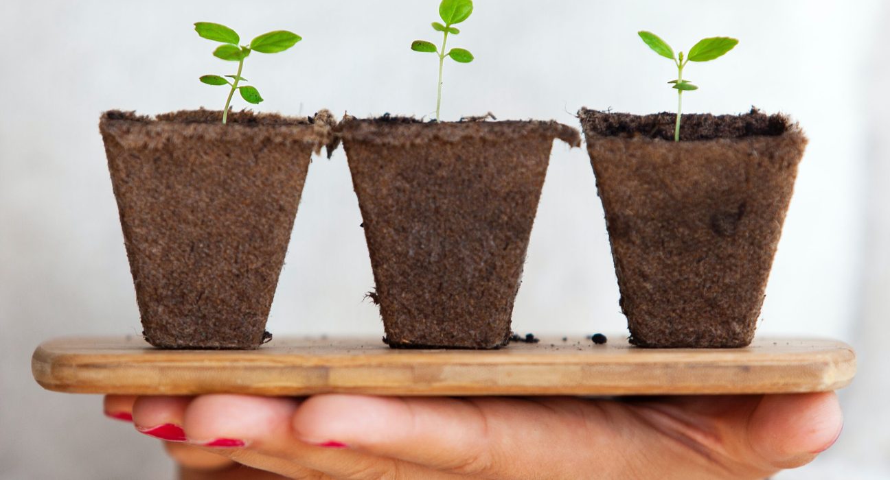 cannabis sustainability agriculture grow