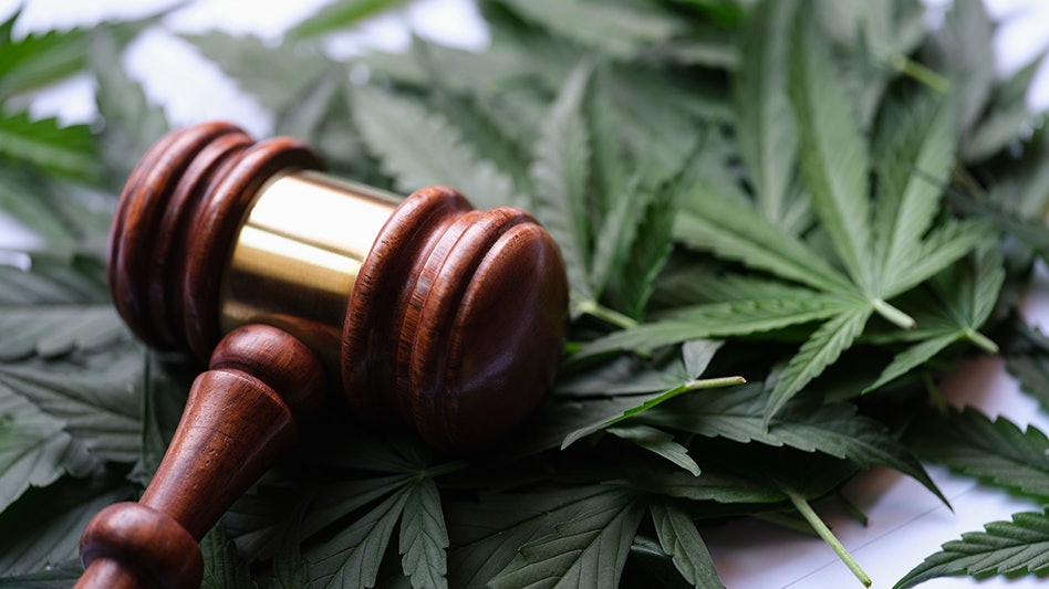MMJ to File Emergency Injunction Against DEA’s ‘Unconstitutional Marijuana Hearing’