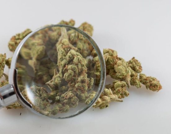 Missouri Officials Weigh Proposals For Marijuana Market Study That Will Help Determine Whether To Issue New Licenses