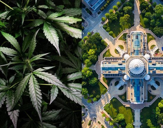 Wisconsin Cannabis Legalization Hopes Fade as GOP Lawmakers ‘Gut’ Governor’s Budget