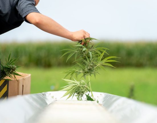 Alabama Regulators Approve Hemp Product Rule Despite Opposition From Key Lawmaker