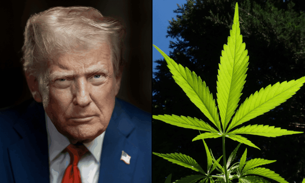 Group With Ties To Trump-Linked PAC Applauds Marijuana Rescheduling Move In New Ad, Saying It'll Help Veterans And 'Destroy' Illicit Market