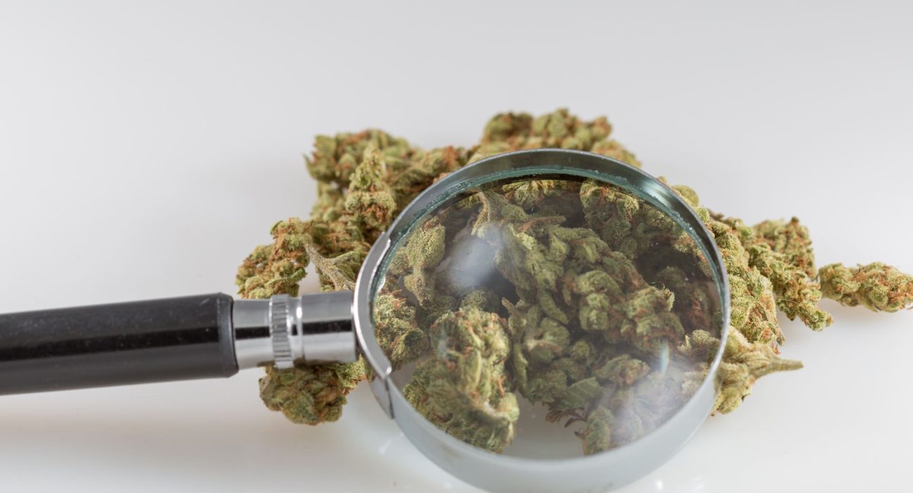 Trump's Attorney General Would Form A Marijuana Commission To Prepare For Federal Legalization Under New Senate Bill