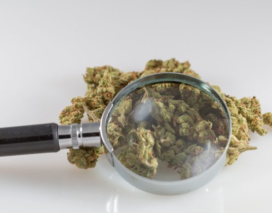 Trump's Attorney General Would Form A Marijuana Commission To Prepare For Federal Legalization Under New Senate Bill
