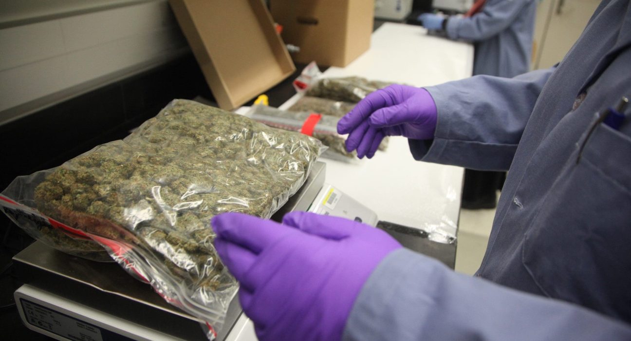 Michigan Lawmakers Weigh Bill To Create Statewide Cannabis Reference Lab To Standardize Testing