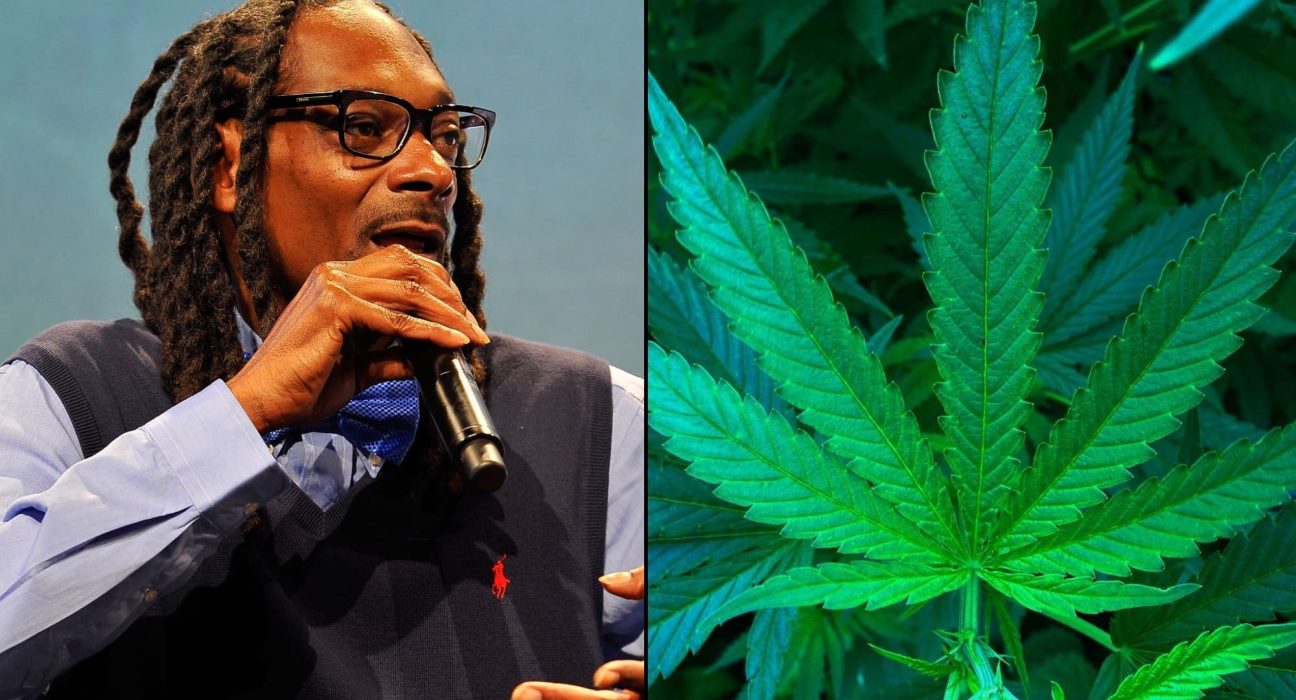 More Than A Third Of Rap And Hip Hop Music Videos Feature Marijuana, Government-Funded Study Shows