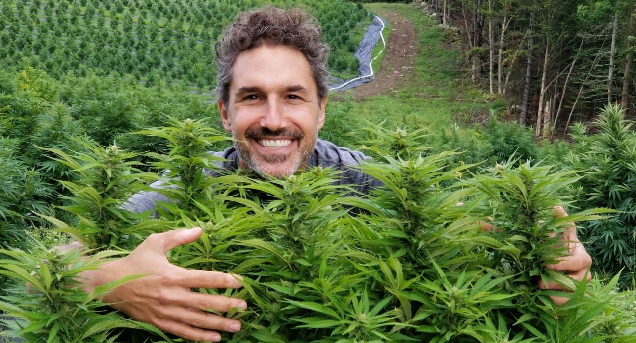'Survivor' Didn’t Break Them. Real Life Did. Then They Found Weed.