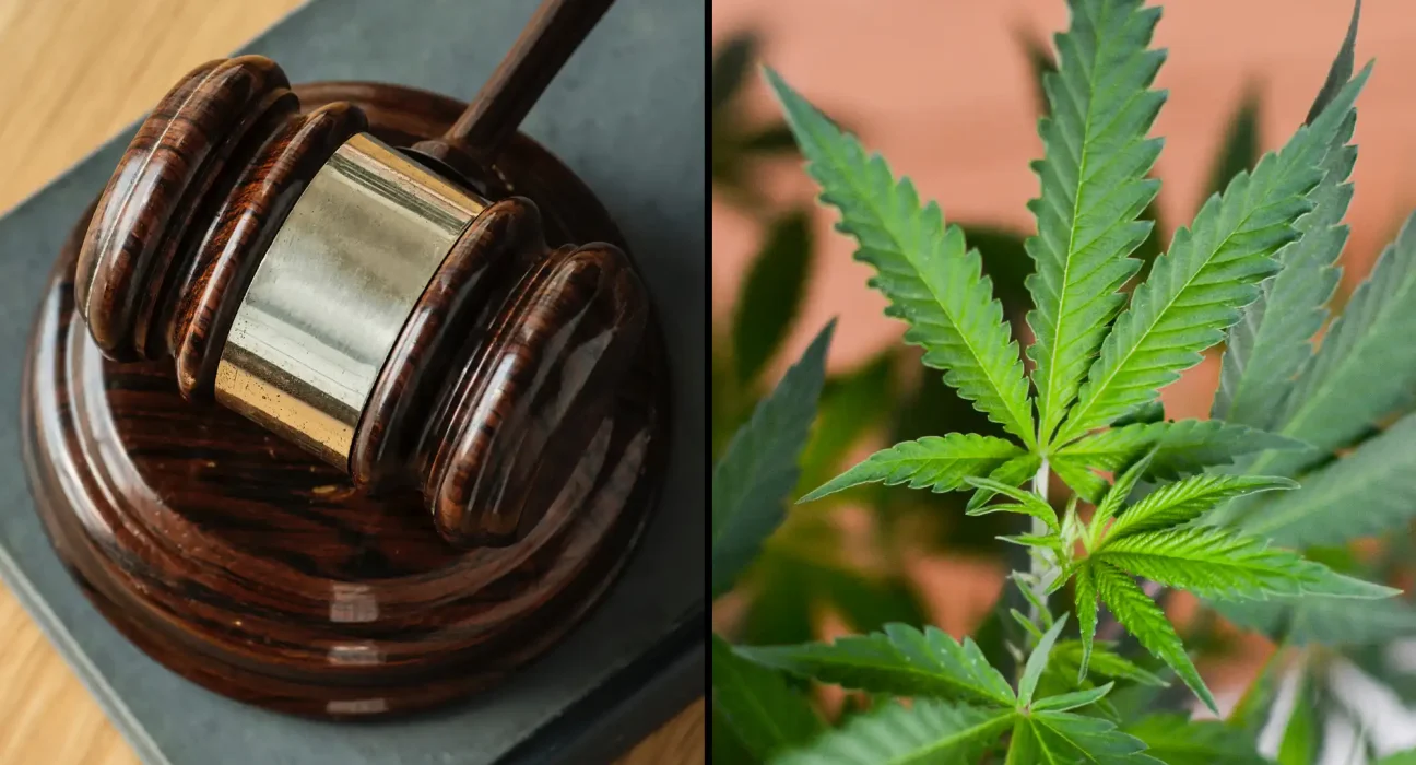 Kansas Officials Are Being Sued Over Raids Against Hemp Businesses