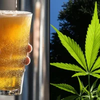 Rhode Island Officials Support Ban On Serving Hemp THC Drinks In Bars And Restaurants With Liquor Licenses