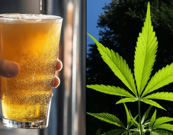 Rhode Island Officials Support Ban On Serving Hemp THC Drinks In Bars And Restaurants With Liquor Licenses