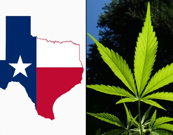 Texas Judge Pauses New Rules Banning Hemp Products Like Smokable THCA Flower Amid Legal Challenge From Industry