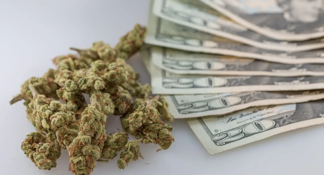 West Virginia Treasurer Allocates Medical Marijuana Revenue Despite Governor's Veto