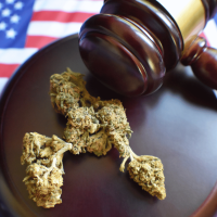 Marijuana Rescheduling: DEA's Final Brief Asks Judge for Schedule III