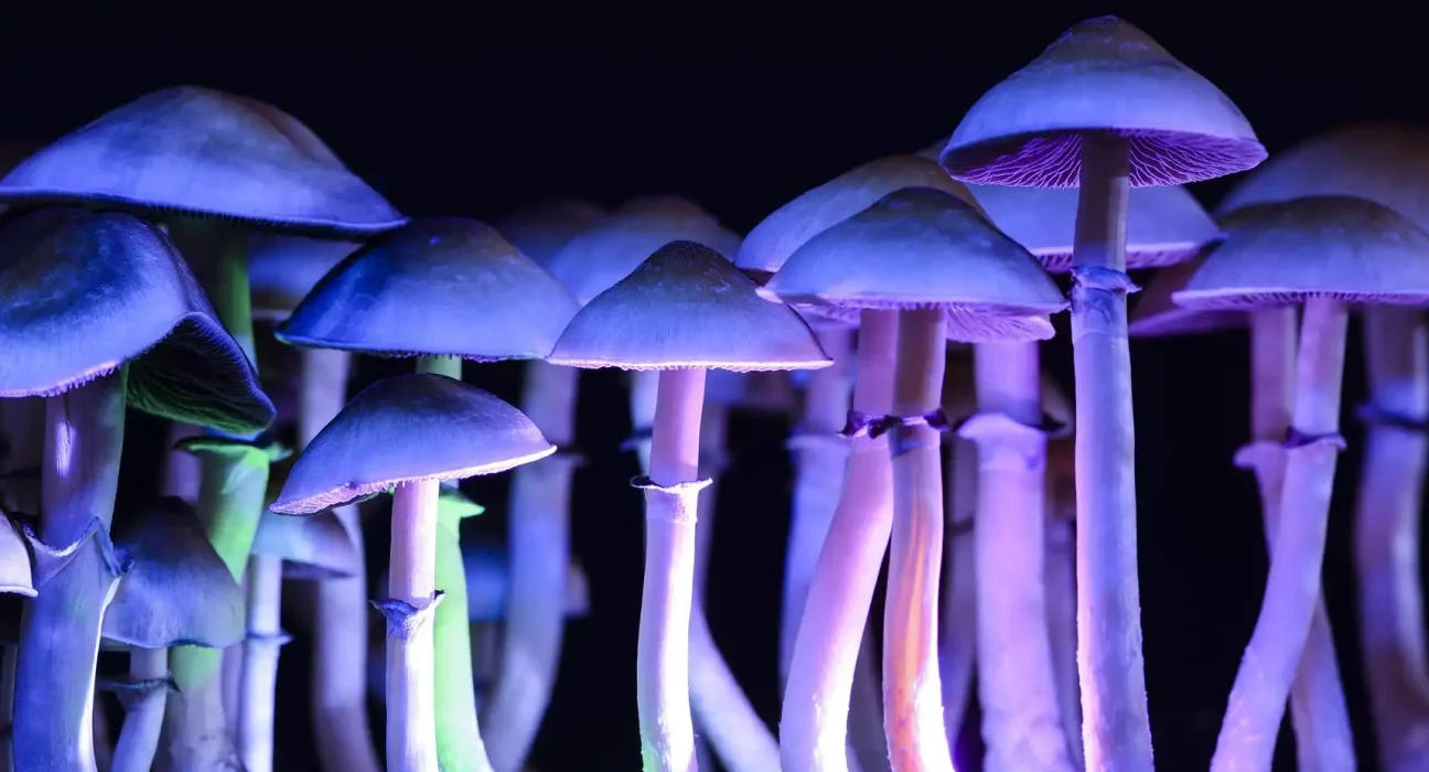 States Should Start Planning Now For FDA Approval Of Psychedelics, Federal Report Says