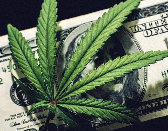 Aurora Cannabis Urges Shareholders to Reject Curaleaf’s Hostile Takeover
