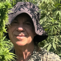Cannabis Cured Me Twice, and I'll Show You My Medical Records