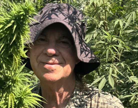 Cannabis Cured Me Twice, and I'll Show You My Medical Records