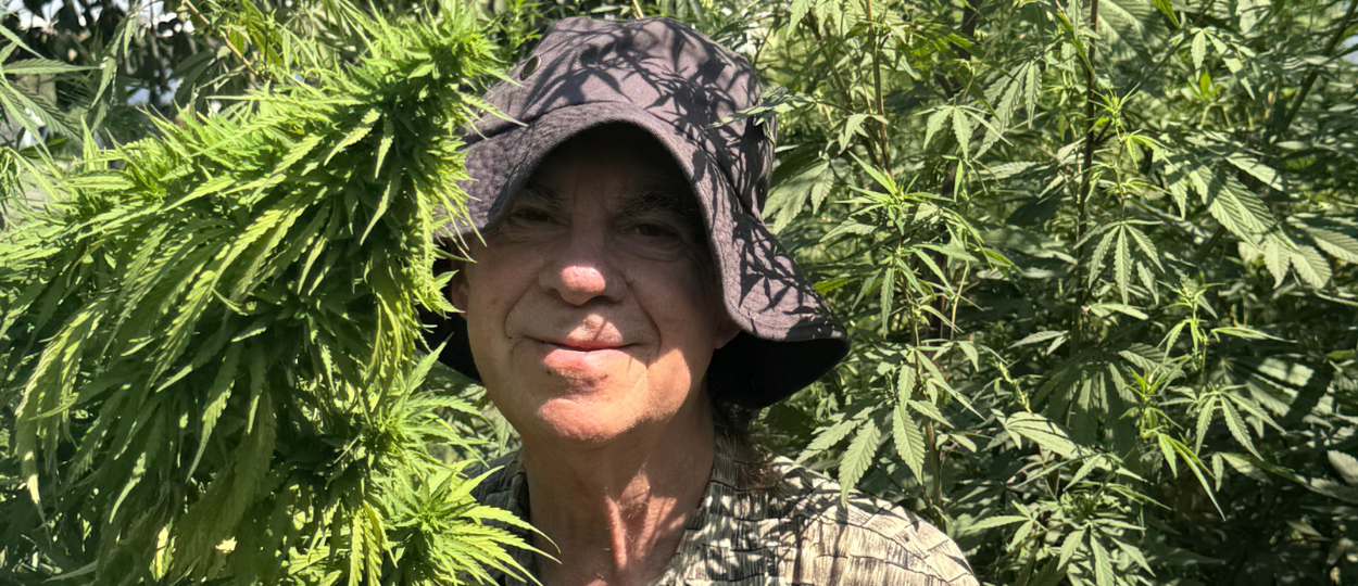 Cannabis Cured Me Twice, and I'll Show You My Medical Records