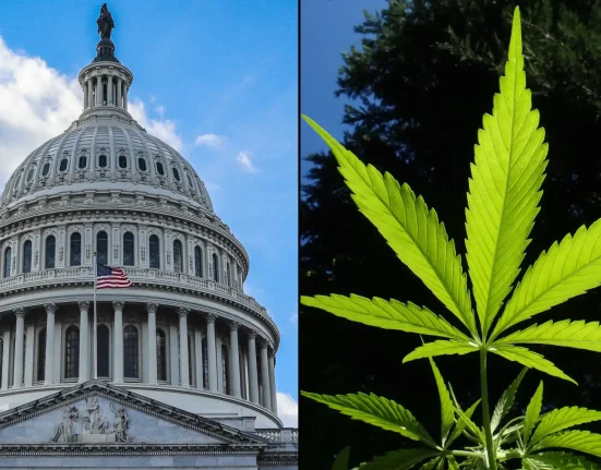 House Passes Bill To Delay Hemp THC Product Ban, Sending It To Trump's Desk