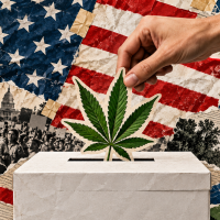 cannabis elections