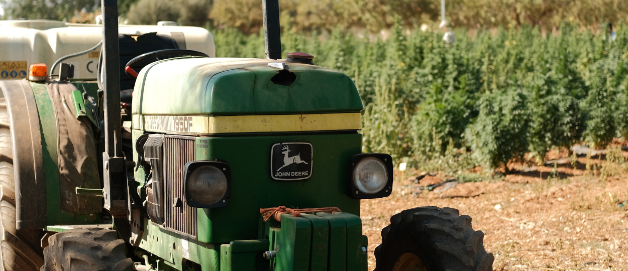 European Cannabis Photo Essay: Mallorca, Lisbon and the Swiss Alps