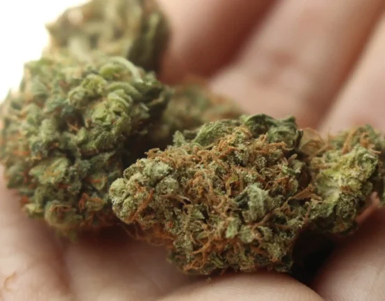 Feds And Marijuana Opponents Agree On Briefing Schedule In Lawsuit Challenging Trump's Reclassification Move