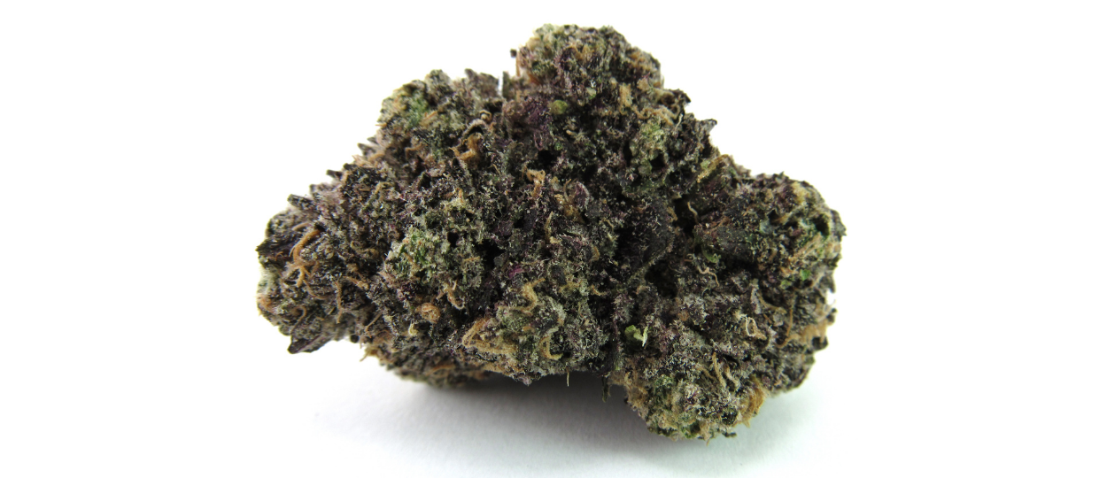 High Times Strains of the Month: October 2026