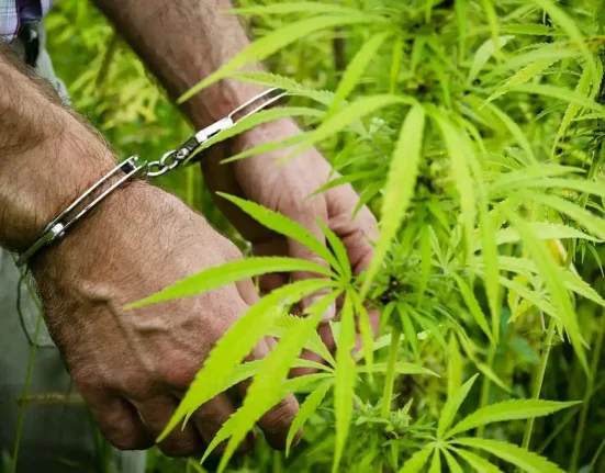 It’s Time to Allow Marijuana Use in Prison (Op-Ed)