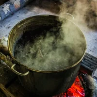 Psychedelic Church's Secret Agreement With DEA And Approval From Iowa Officials Allows Import And Manufacturing Of Ayahuasca