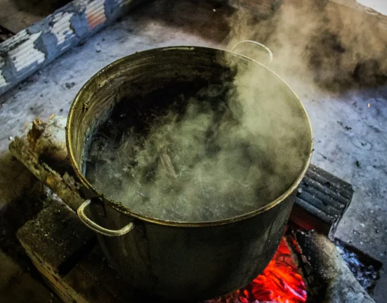 Psychedelic Church's Secret Agreement With DEA And Approval From Iowa Officials Allows Import And Manufacturing Of Ayahuasca