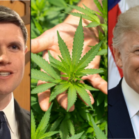 Talarico Wants To Partner With Trump On Legalizing Marijuana If He Wins Texas Senate Race