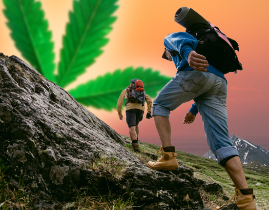 hikers cannabis