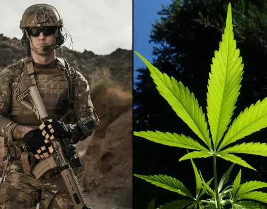 VA Would Be Required To Study Medical Marijuana's Benefits For Veterans With PTSD And Pain Under New Congressional Bill